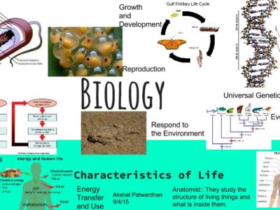 Basics of Biology